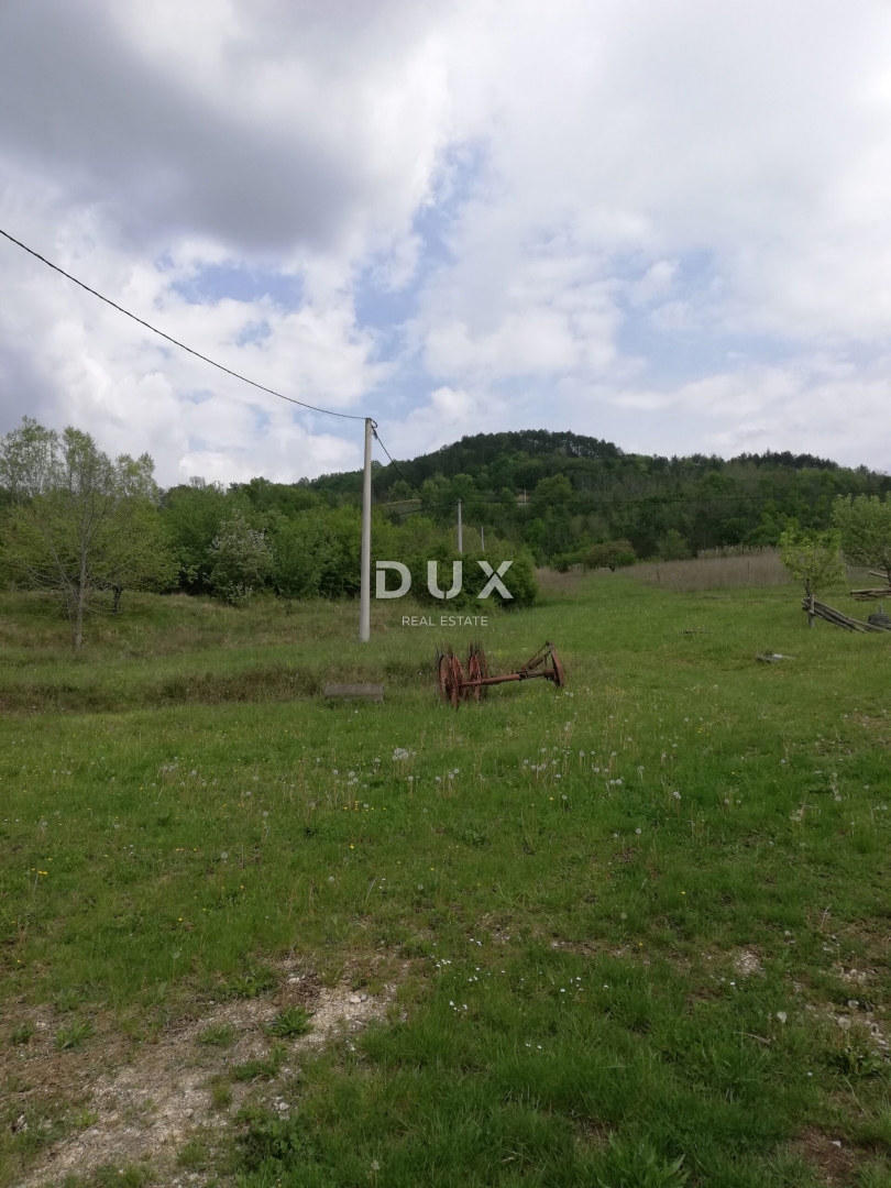 Land For sale - ISTARSKA MOTOVUN