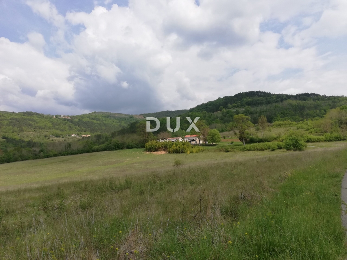 Land For sale - ISTARSKA MOTOVUN