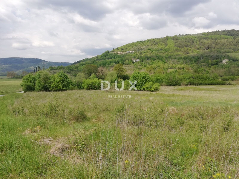 Land For sale - ISTARSKA MOTOVUN
