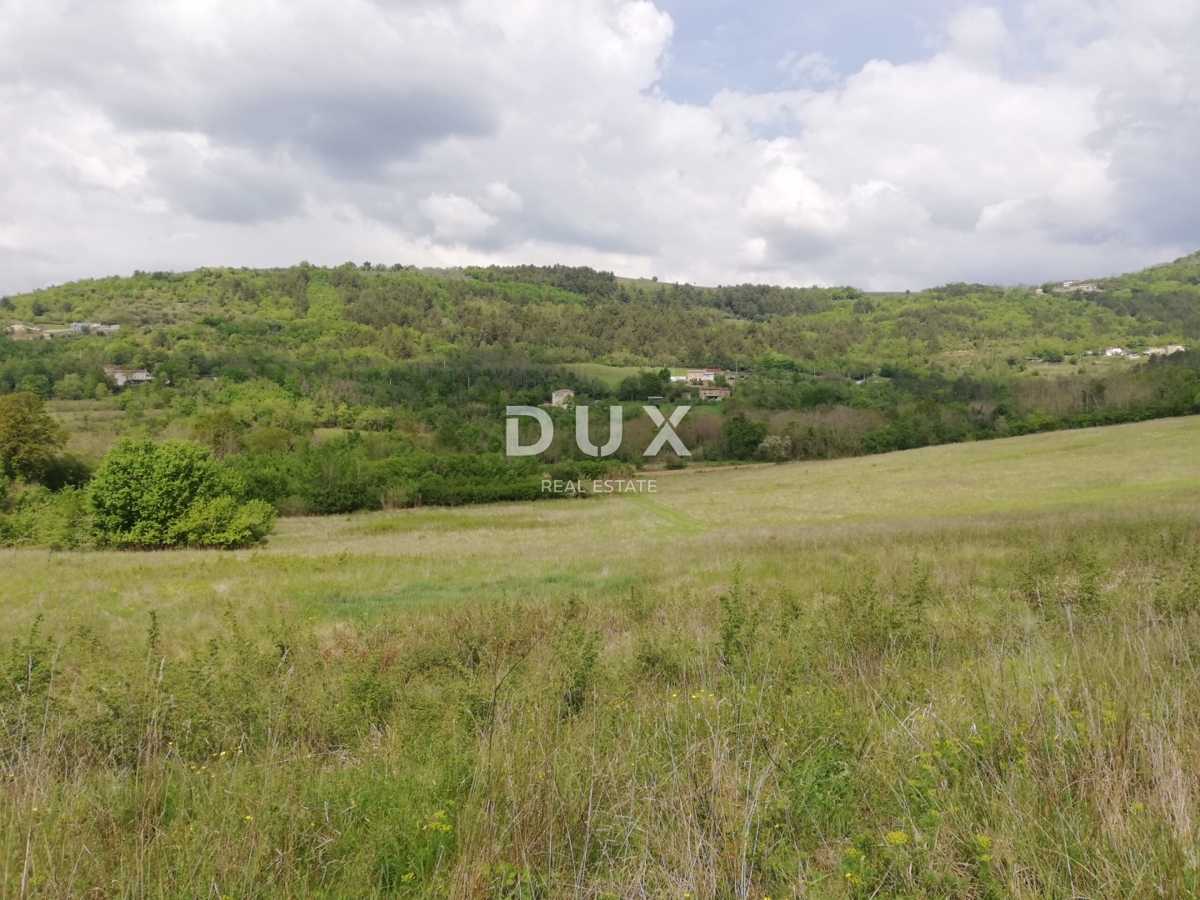 Land For sale - ISTARSKA MOTOVUN