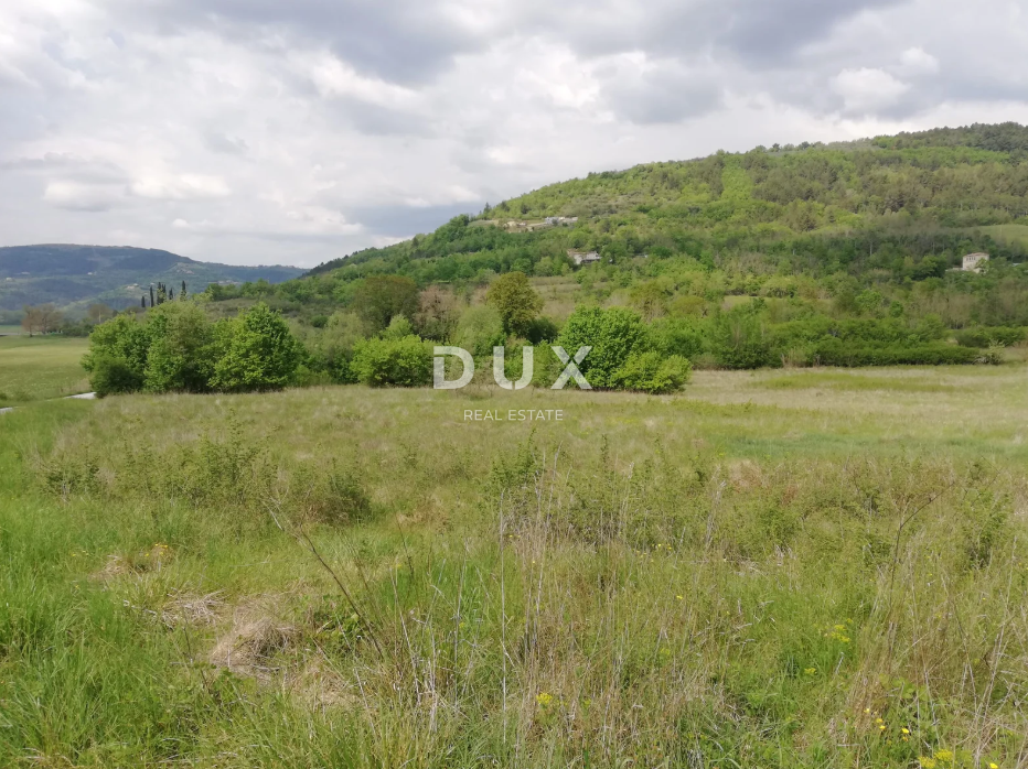 Land For sale - ISTARSKA MOTOVUN