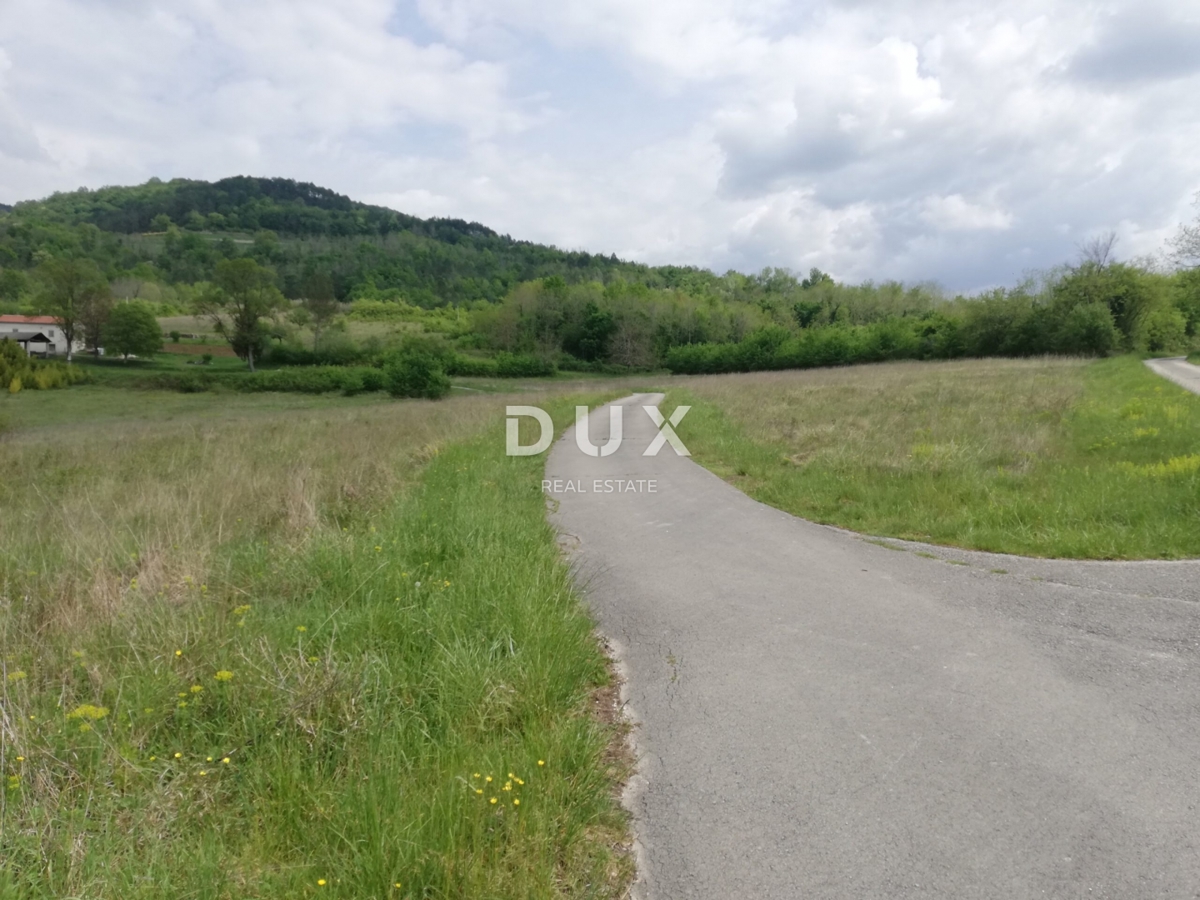 Land For sale - ISTARSKA MOTOVUN