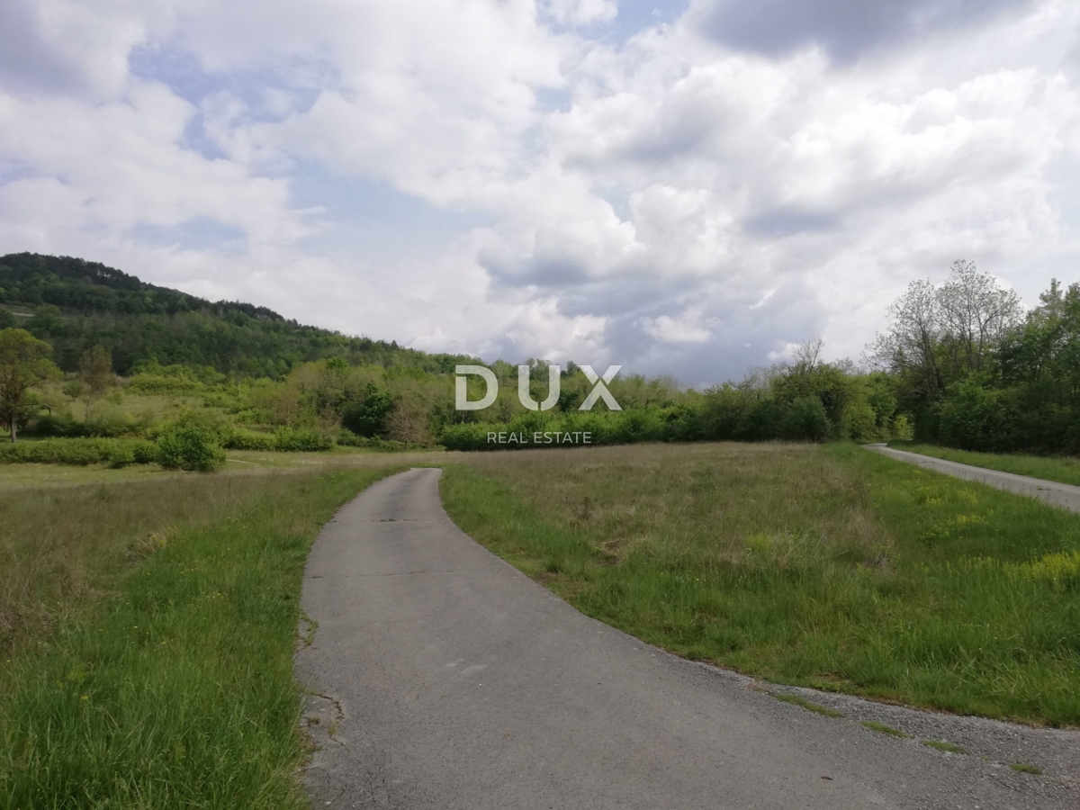 Land For sale - ISTARSKA MOTOVUN