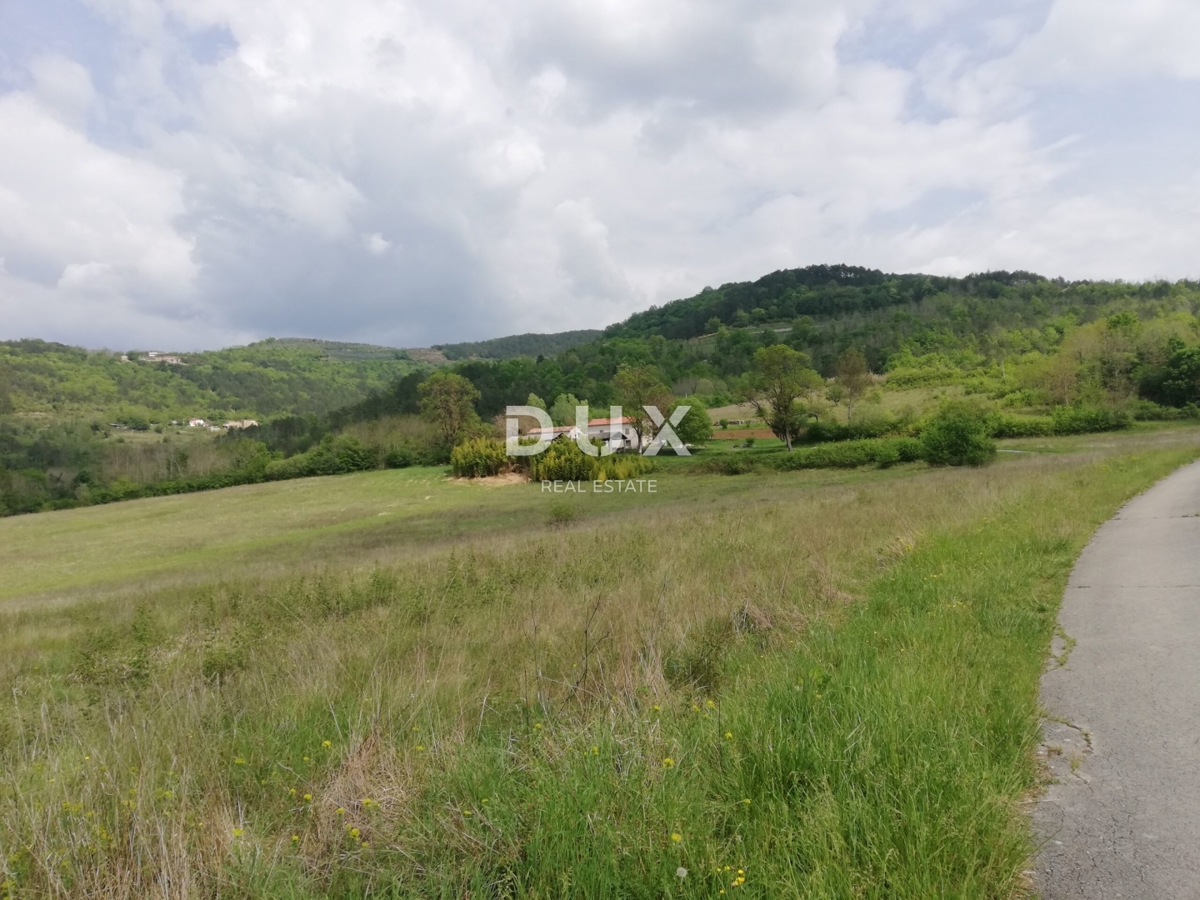 Land For sale - ISTARSKA MOTOVUN