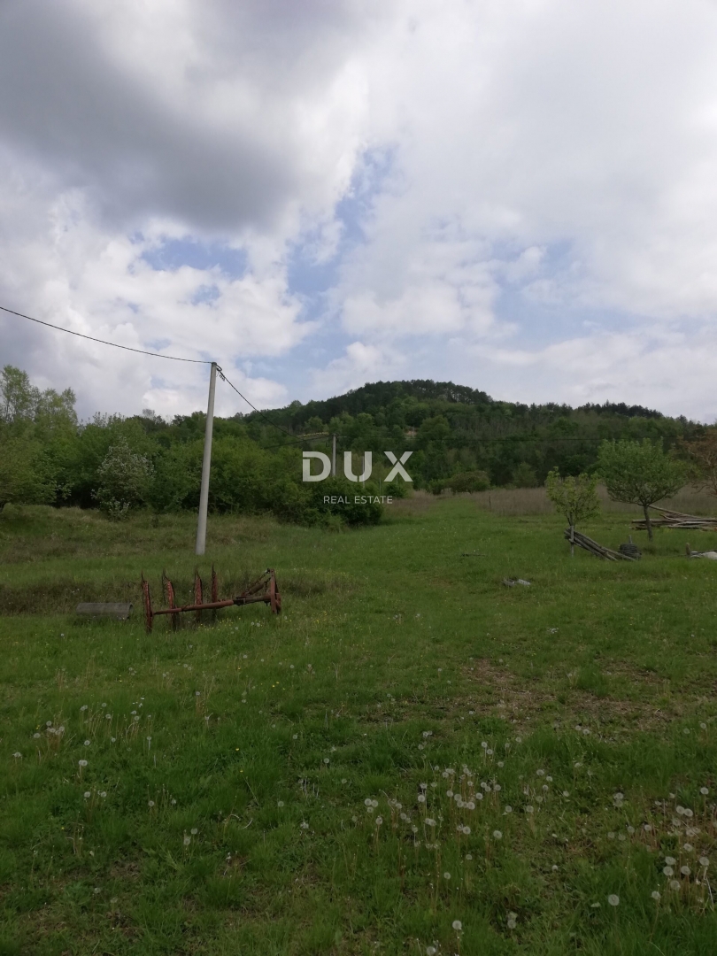 Land For sale - ISTARSKA MOTOVUN