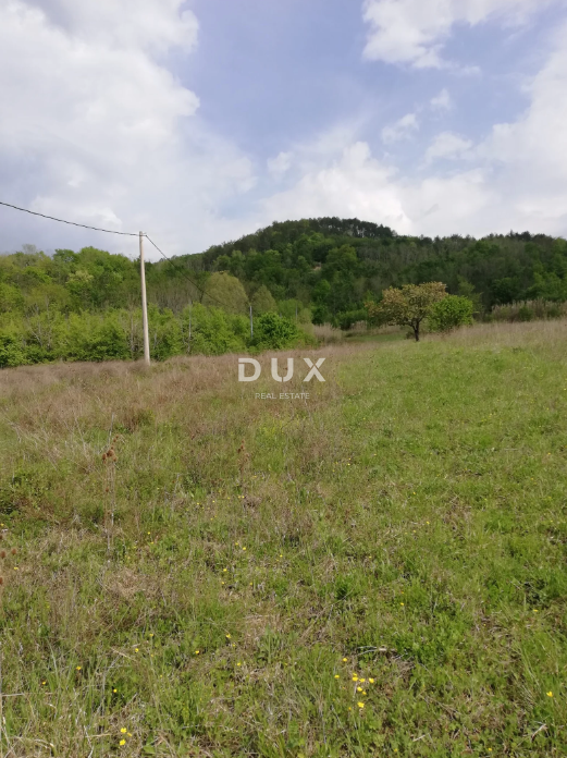 Land For sale - ISTARSKA MOTOVUN