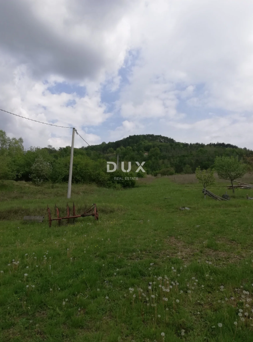 Land For sale - ISTARSKA MOTOVUN
