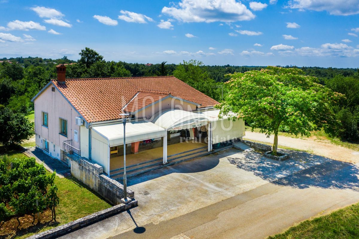 House For sale - ISTARSKA ŽMINJ