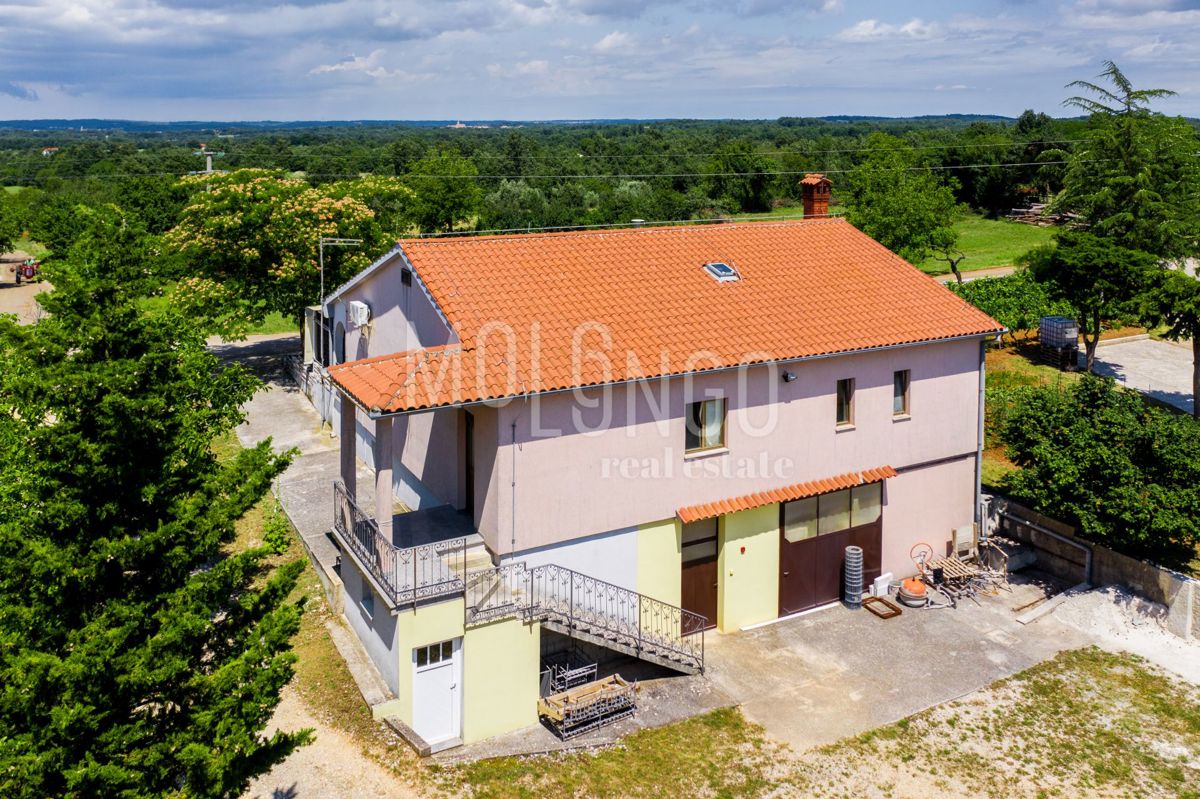 House For sale - ISTARSKA ŽMINJ