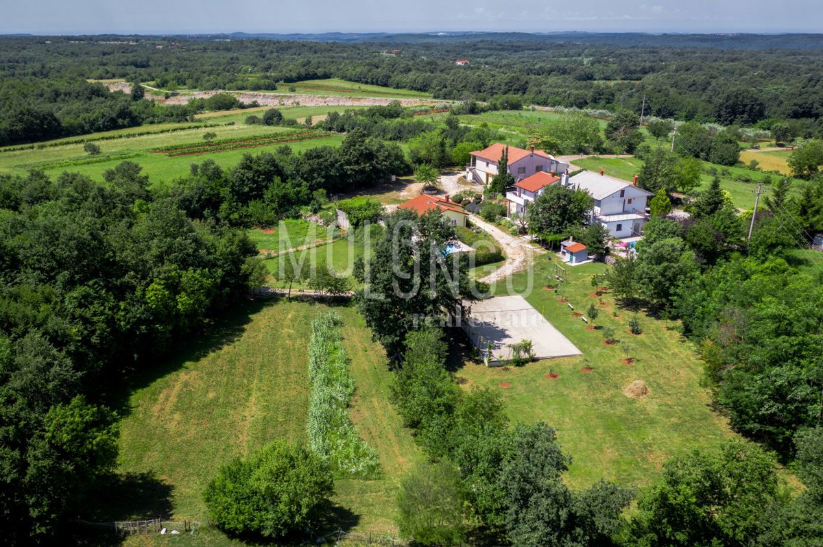 House For sale - ISTARSKA ŽMINJ