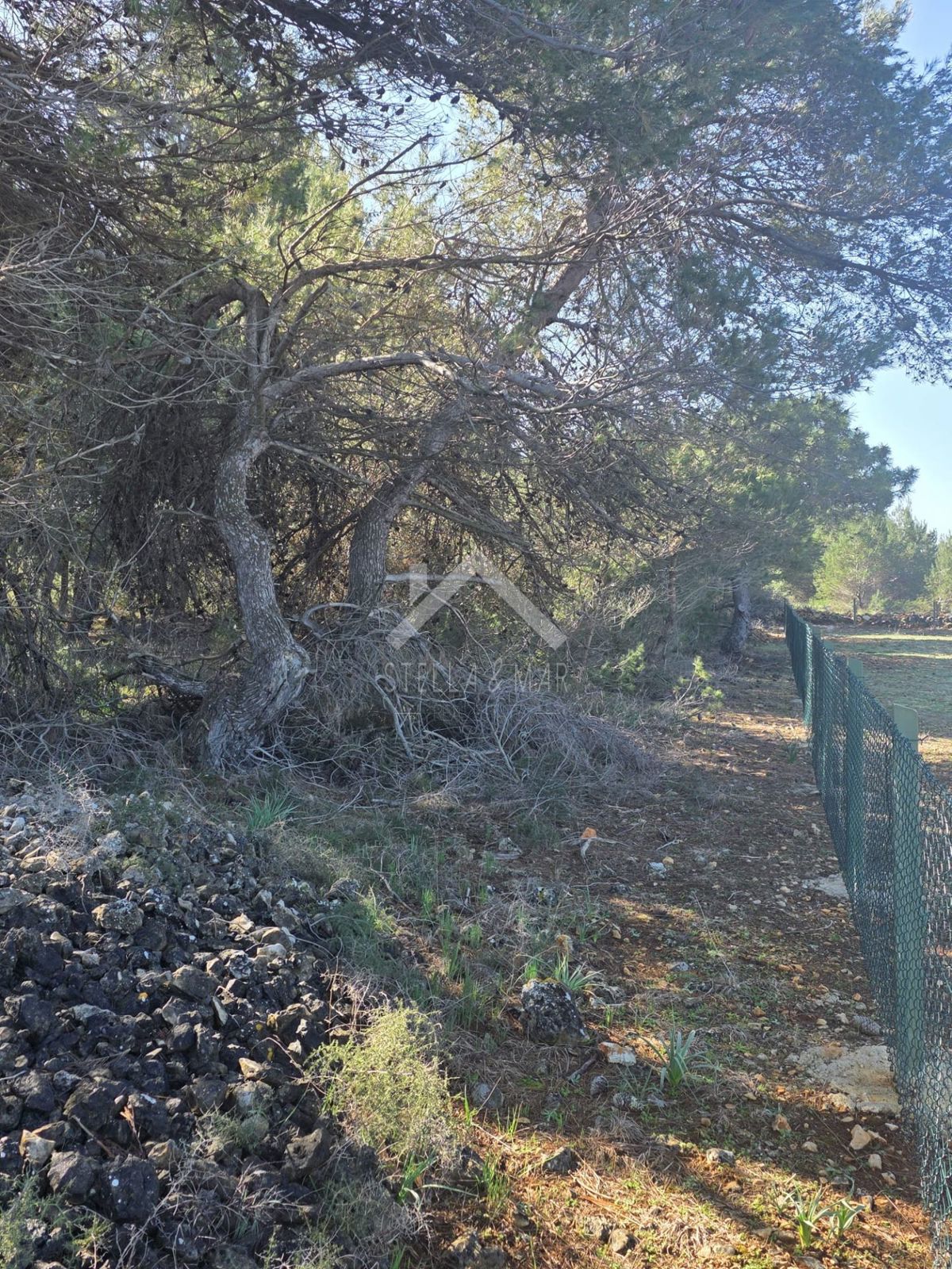Land For sale - Zadarska Vir - foto 3/3