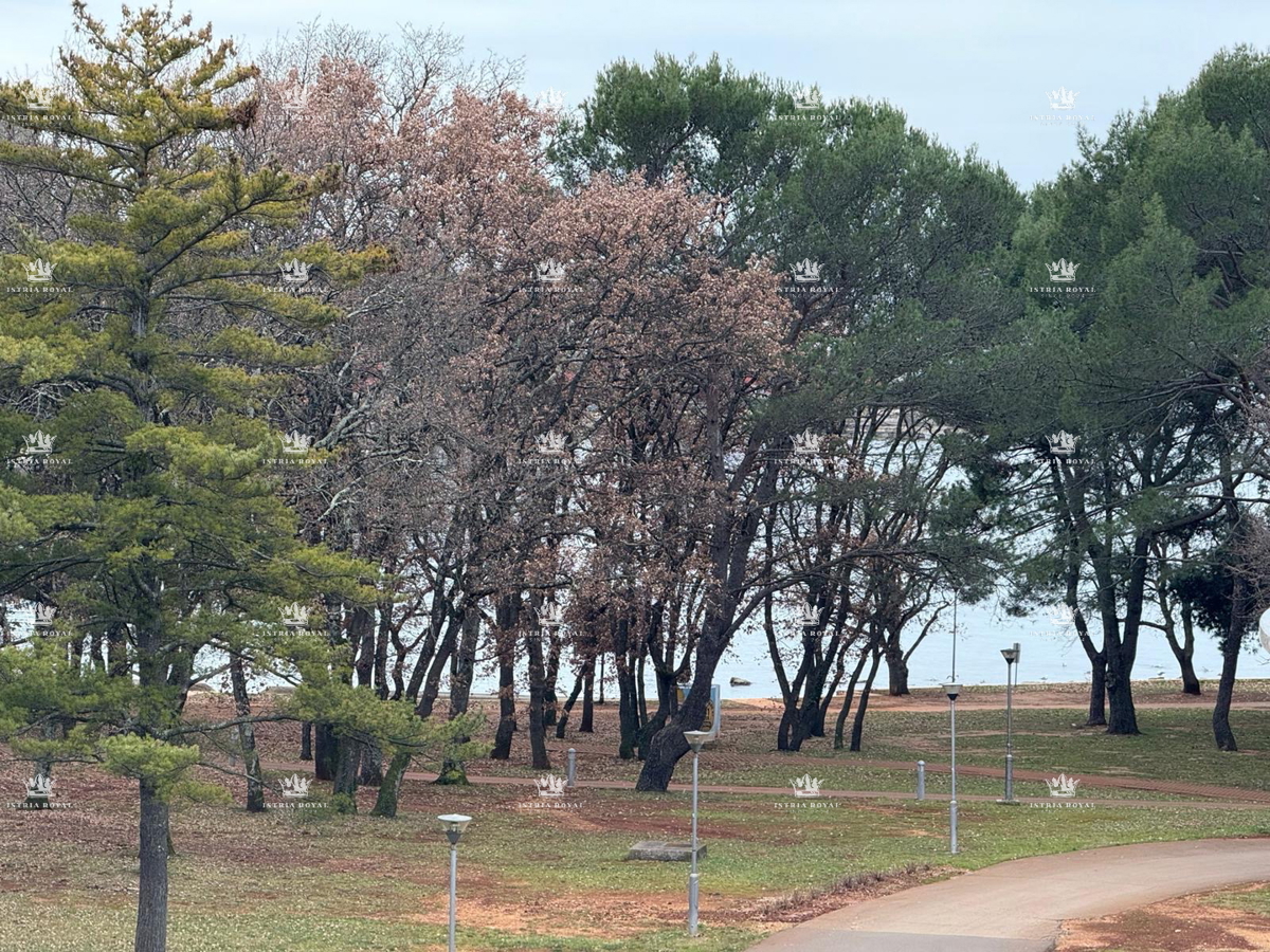 Stan Na prodaju - ISTARSKA UMAG