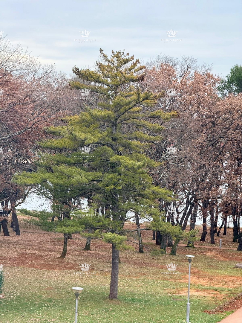 Stan Na prodaju - Istarska Umag - foto 3/19