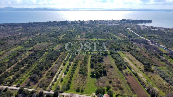 Grundstück Zu verkaufen - Zadarska Zadar - foto 2/3