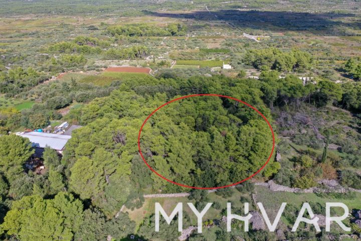 Terrain À vendre - Splitsko-dalmatinska Stari Grad - foto 4/7