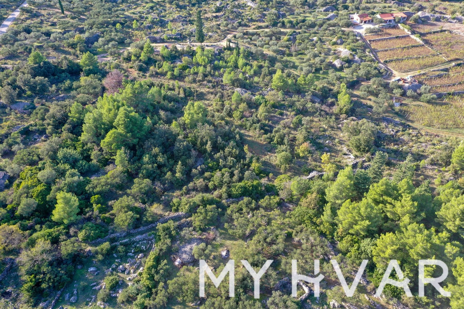 Land For sale - SPLITSKO-DALMATINSKA Jelsa