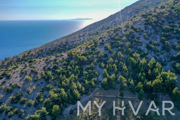 Land for sale 27105 m² – Zavala