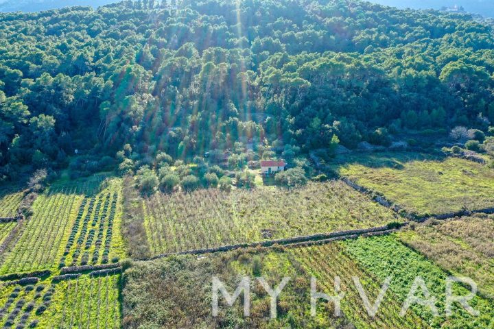 Land For sale - Splitsko-dalmatinska Jelsa - foto 4/9