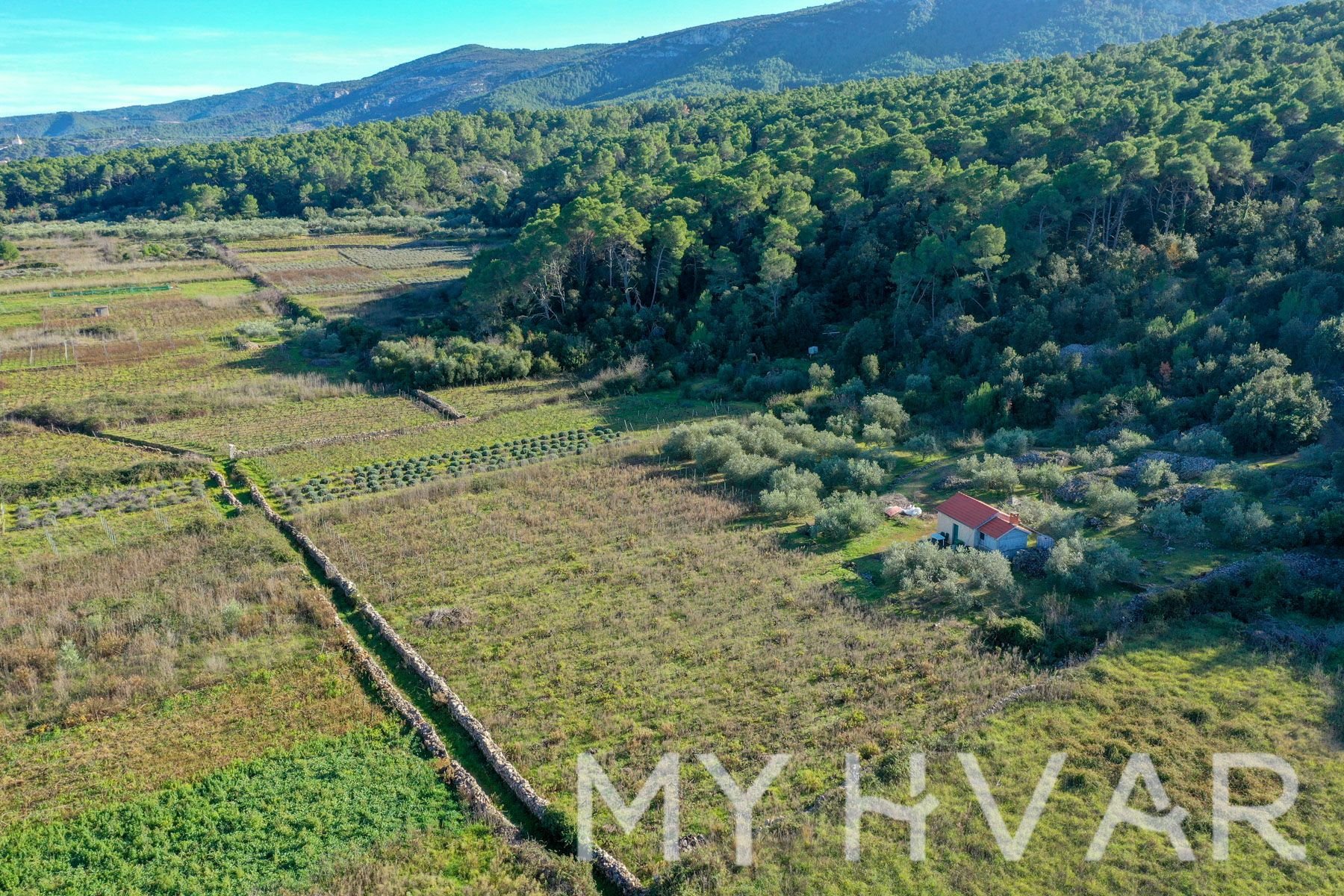 Land For sale - SPLITSKO-DALMATINSKA Jelsa