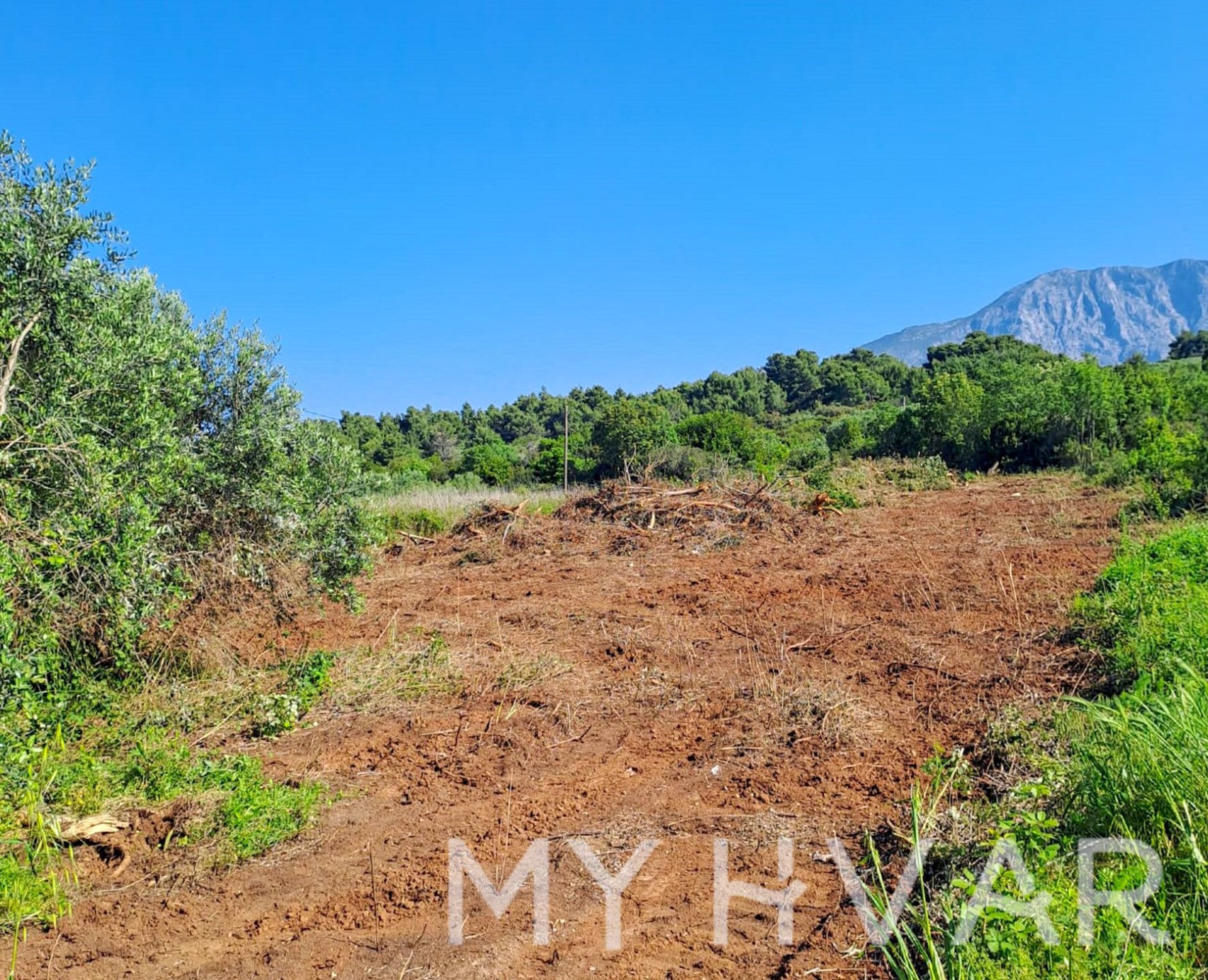 Land For sale - SPLITSKO-DALMATINSKA Sućuraj