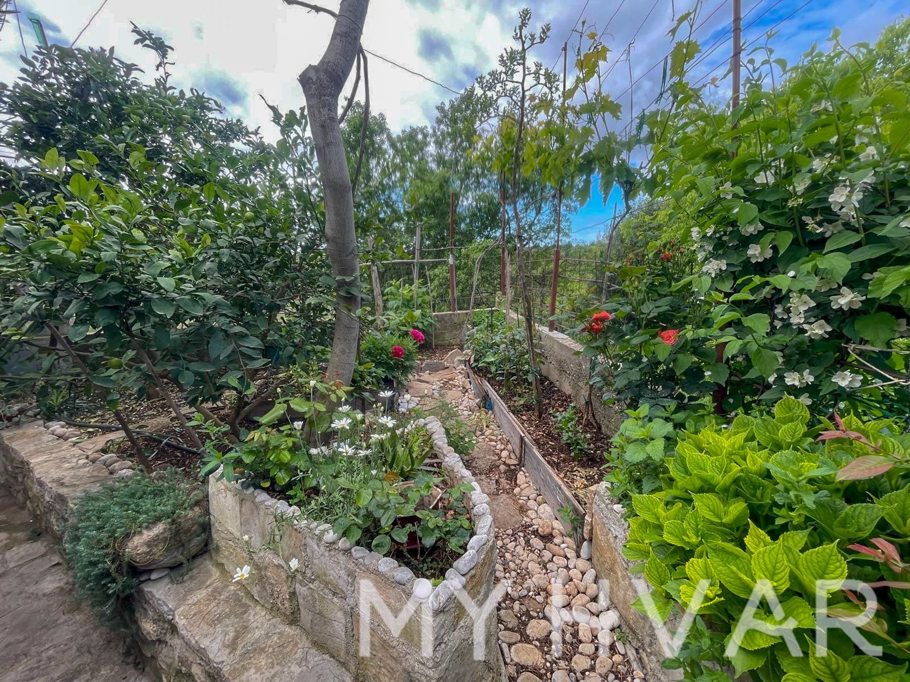 House For sale - SPLITSKO-DALMATINSKA Sućuraj