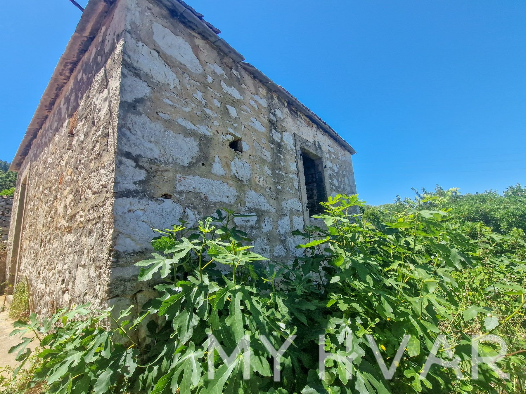 Dom Na predaj - SPLITSKO-DALMATINSKA Jelsa