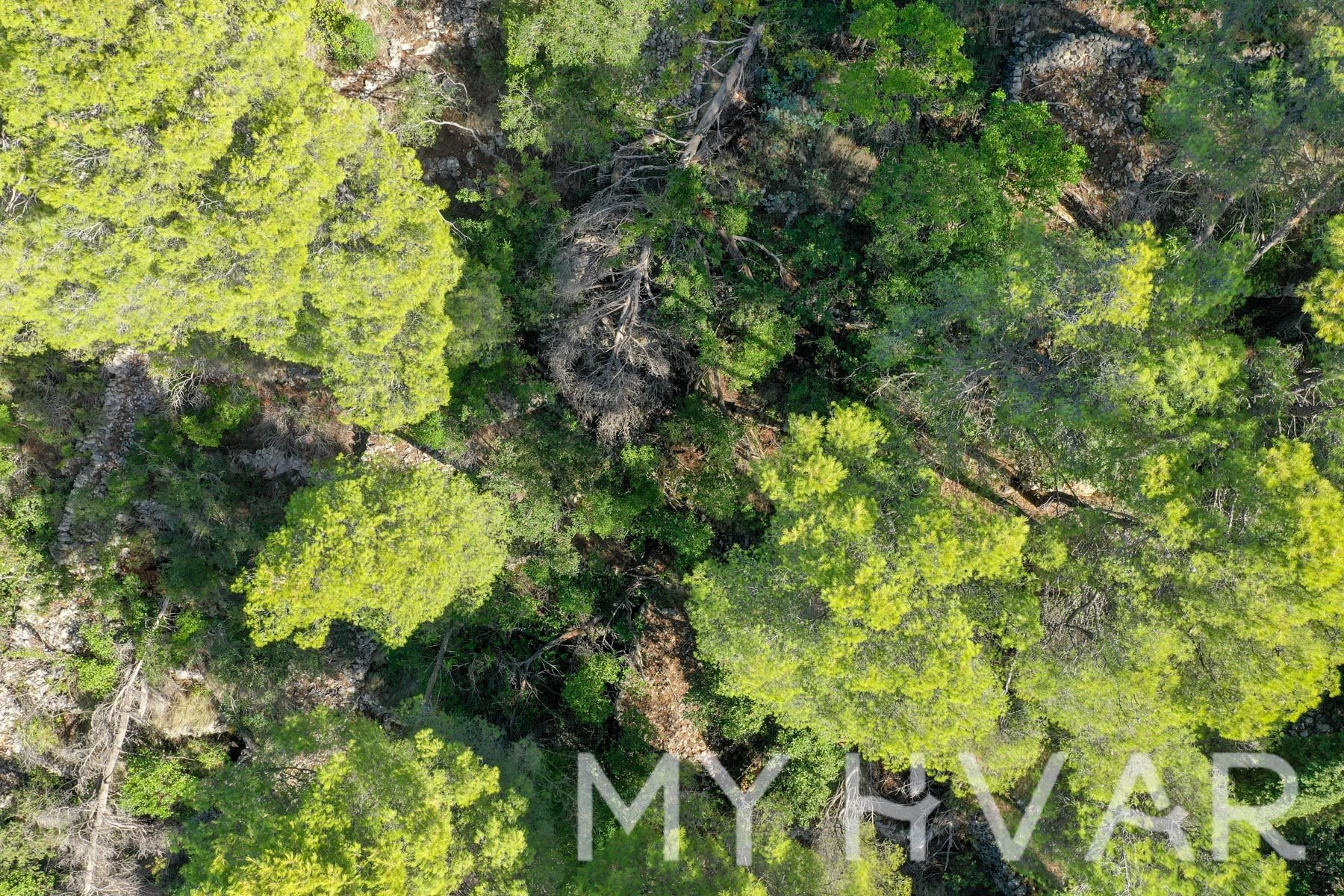 Land For sale - SPLITSKO-DALMATINSKA STARI GRAD