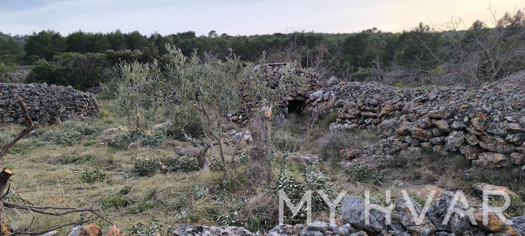 Land For sale - SPLITSKO-DALMATINSKA Jelsa