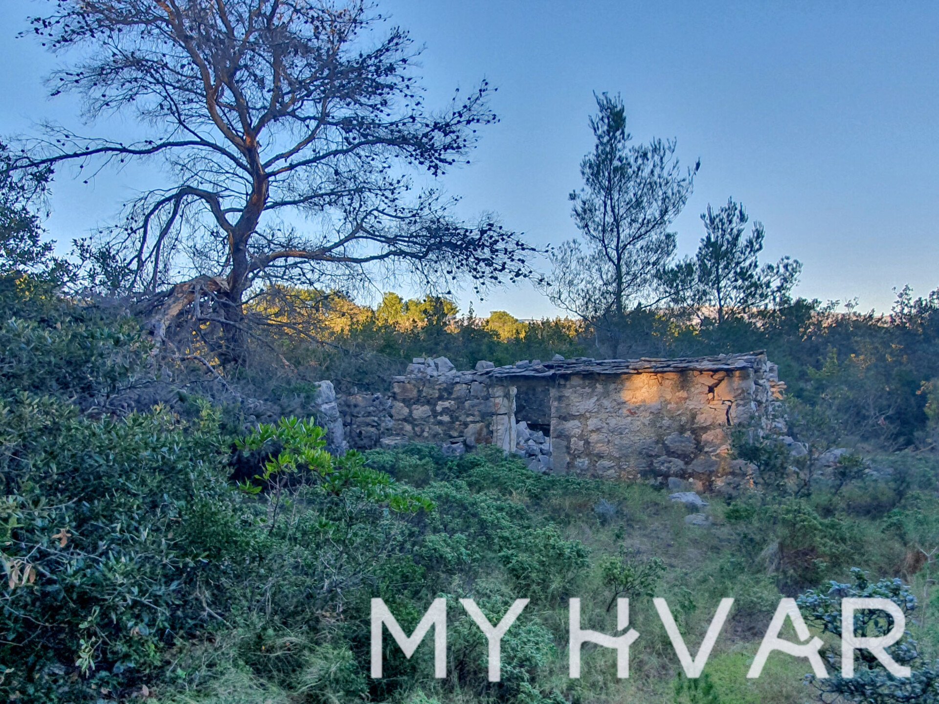 Land For sale - SPLITSKO-DALMATINSKA STARI GRAD