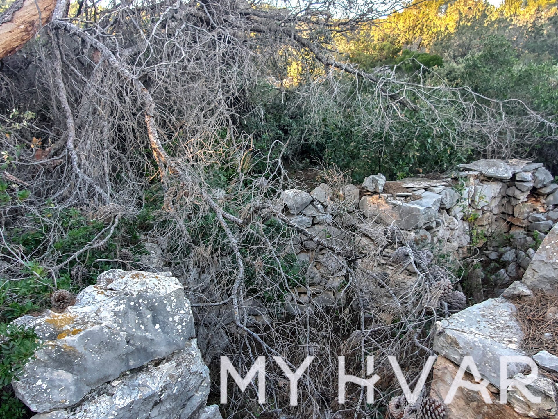 Land For sale - SPLITSKO-DALMATINSKA STARI GRAD