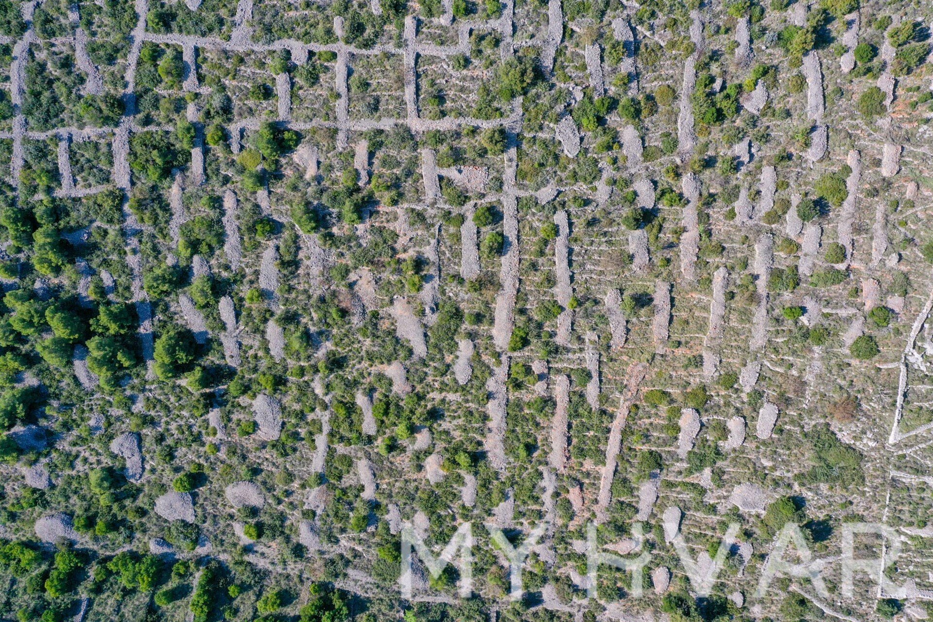 Land For sale - SPLITSKO-DALMATINSKA Hvar
