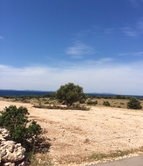 Terrain À vendre - zadarska Vir