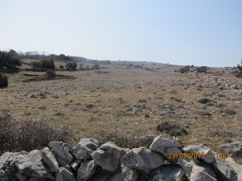 Land For sale - zadarska Vir