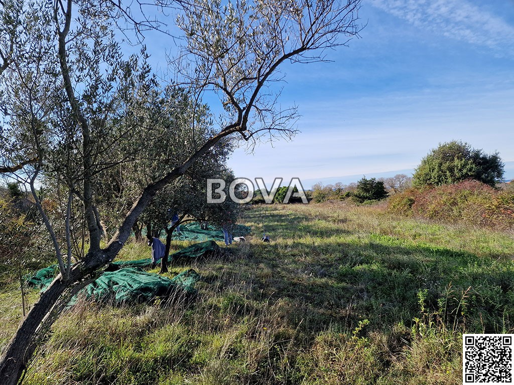 Zemljište Na prodaju - zadarska Zadar - Okolica