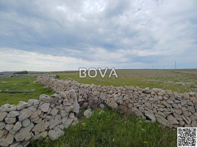 Parcela Naprodaj - Zadarska Povljana - foto 2/4