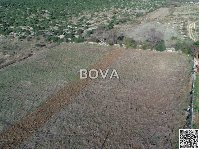 Land for sale 8500 m² – Tinj