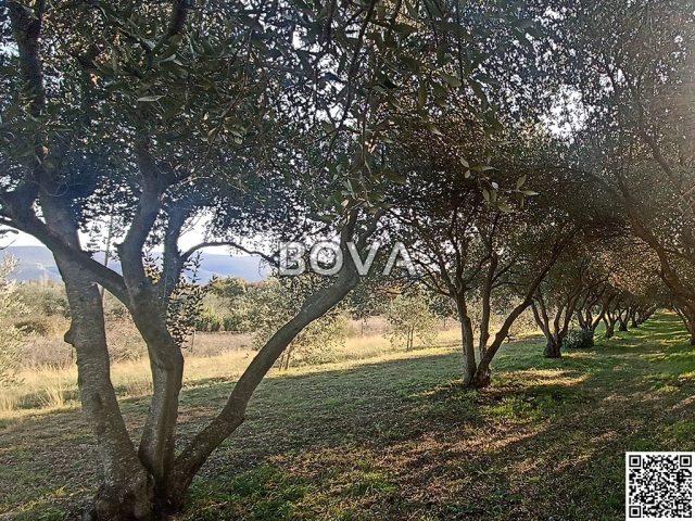Terrain À vendre - Zadarska Novigrad - foto 2/4