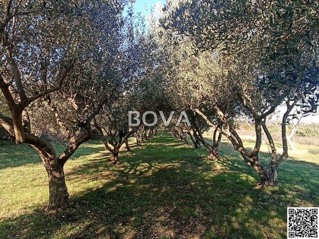 Terrain À vendre - Zadarska Novigrad - foto 3/4