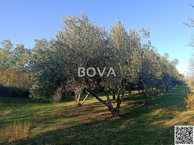 Terrain À vendre - Zadarska Novigrad - foto 4/4