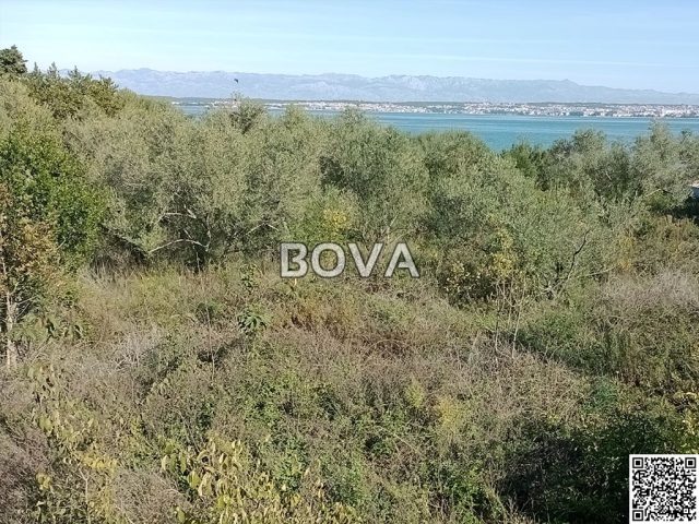 Parcela Naprodaj - Zadarska Preko - foto 3/3
