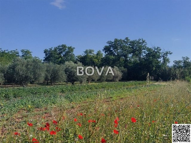 Land for sale 420 m² – Vrsi