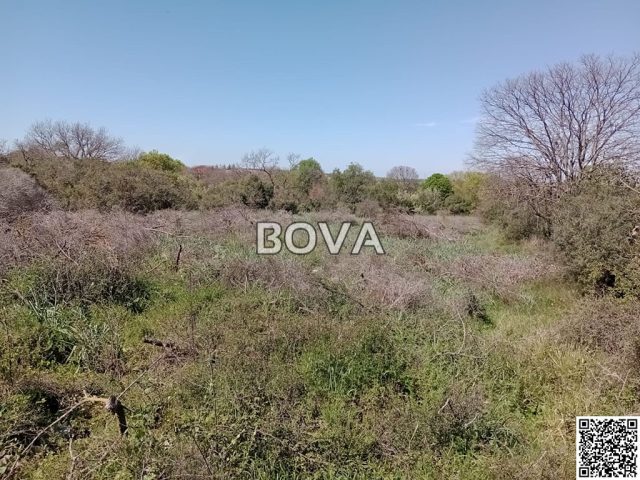Pozemek na prodej 1286 m² – Debeljak