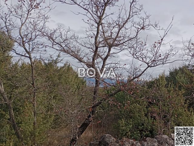 Zemljište na prodaju 10568 m² – Poljica