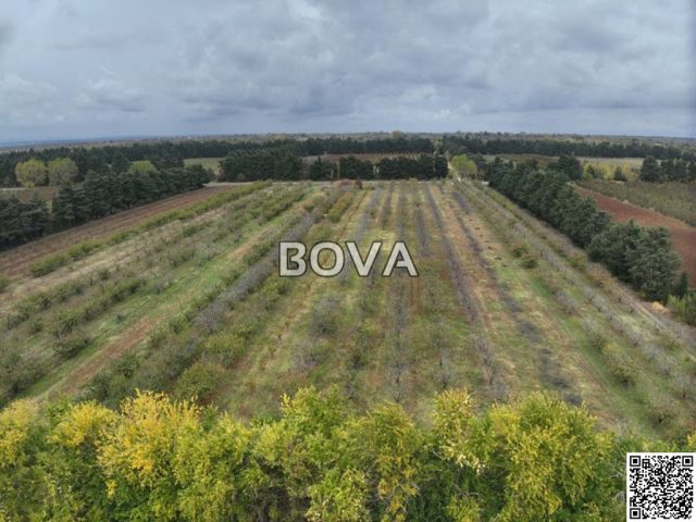 Terreno in vendita 20241 m² – Smilčić
