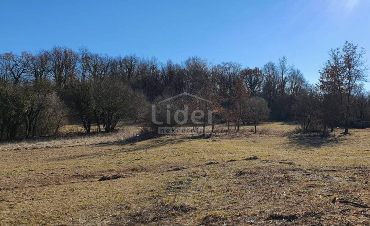 Grundstück Zu verkaufen - Istarska Kringa - foto 4/6
