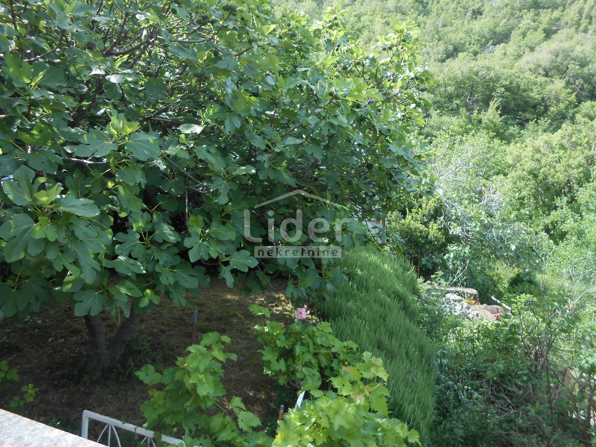 Apartment Zu verkaufen - Ličko-senjska Bunica-biličevica