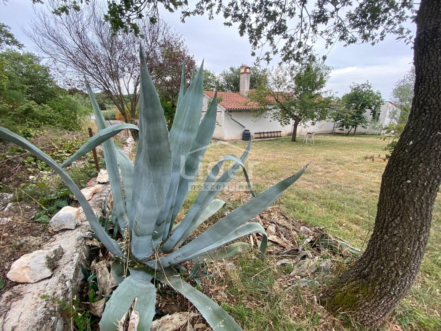 House For sale - Istarska Rovinjsko Selo
