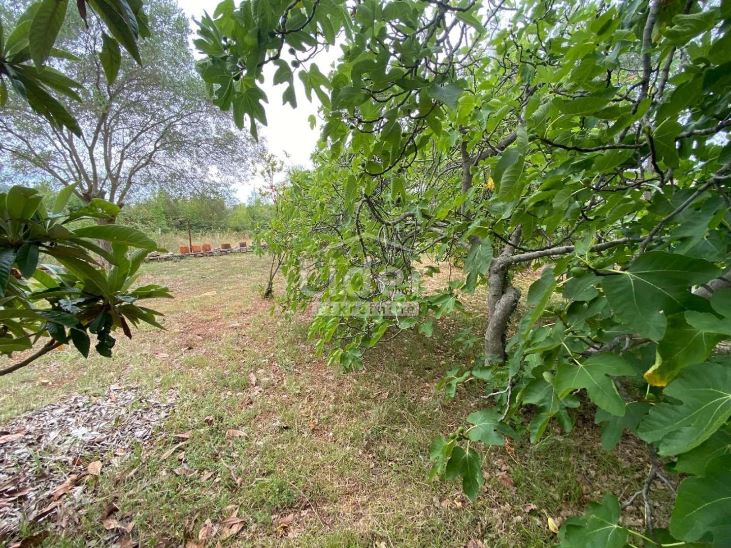 House For sale - Istarska Rovinjsko Selo