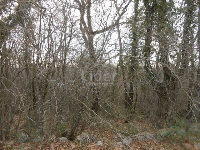 Zemljište Na prodaju - Primorsko-goranska Sužan - foto 2/6