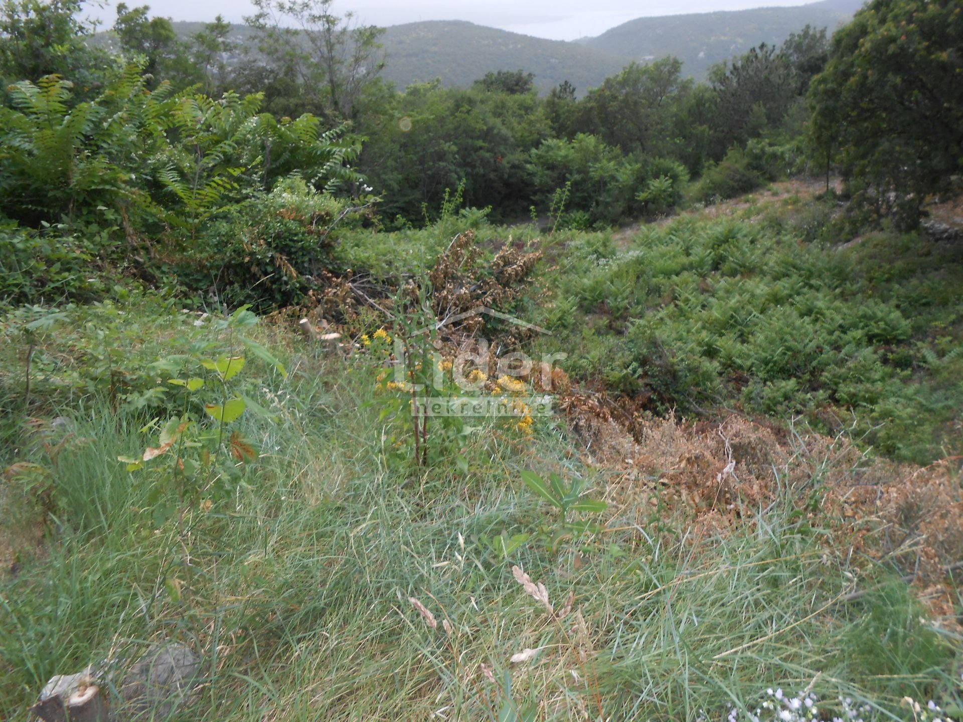 Parcela Naprodaj - Primorsko-goranska Grižane-Belgrad
